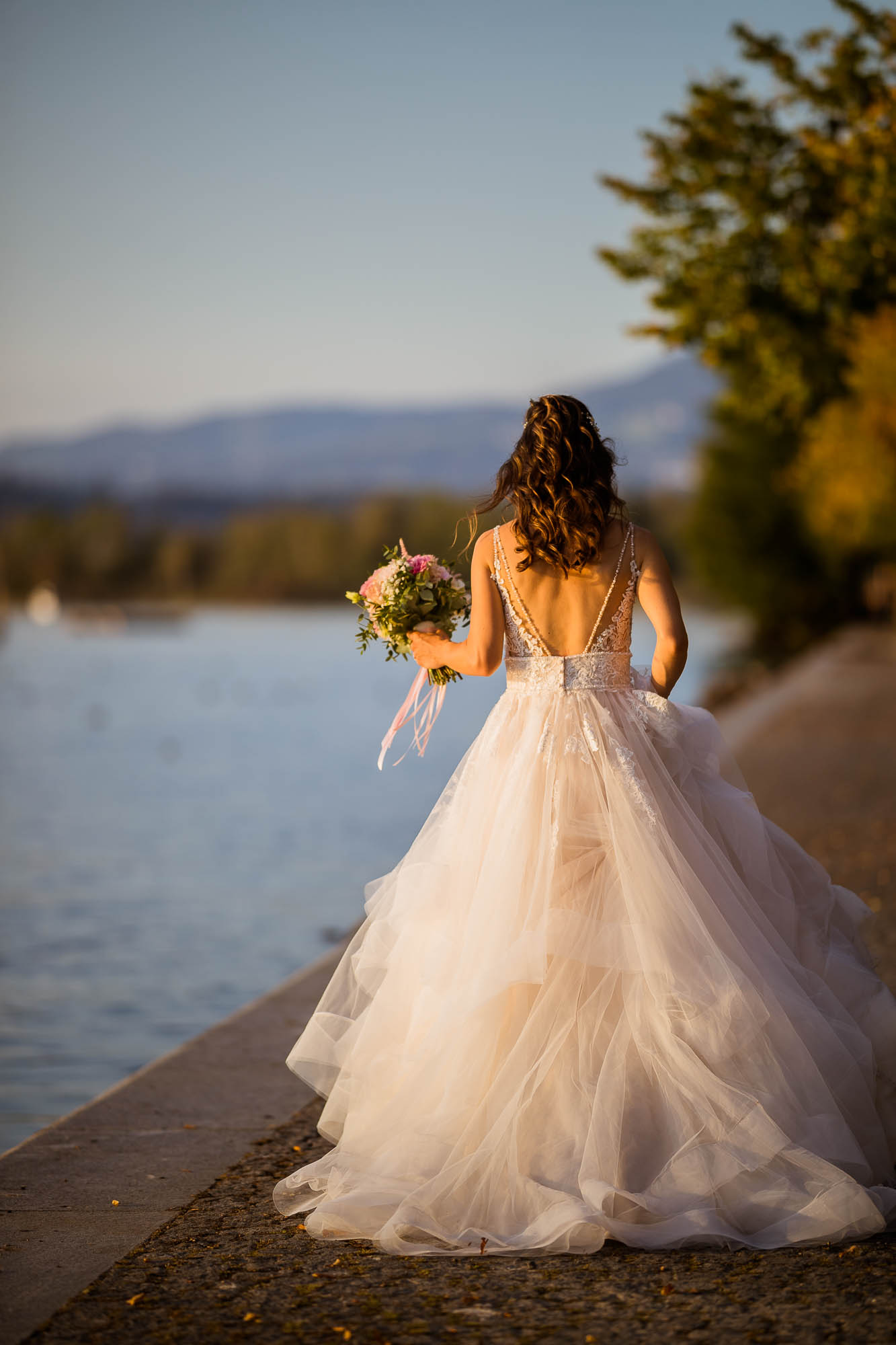 Export x3 1DX24446 Hochzeit 2020 Muriel & Trevor